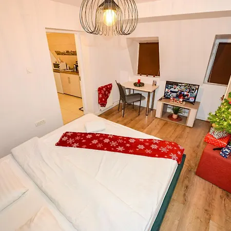 Appartement Center - Shabbat Friendly Boekarest
