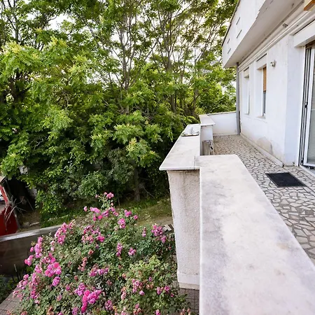 Center - Shabbat Friendly *