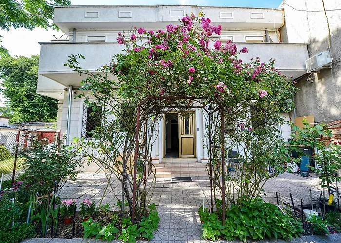 Center - Shabbat Friendly *