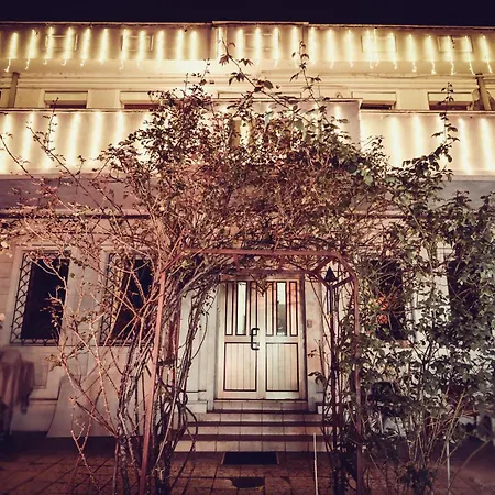 Center - Shabbat Friendly