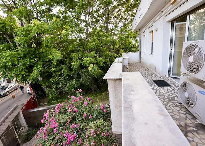 Center - Shabbat Friendly *